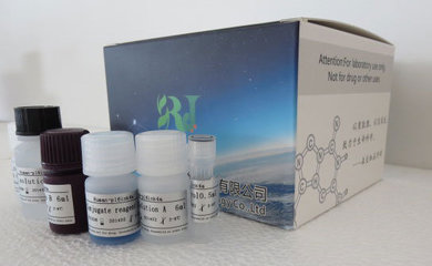人包膜蛋白gp120(Gp120)ELISA试剂盒厂家_南京森贝伽生物科技_丁香通